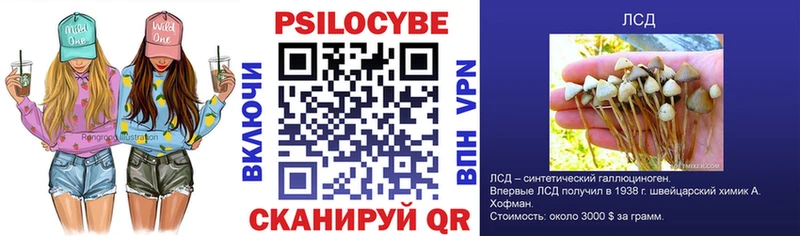 Галлюциногенные грибы мицелий  Будённовск 